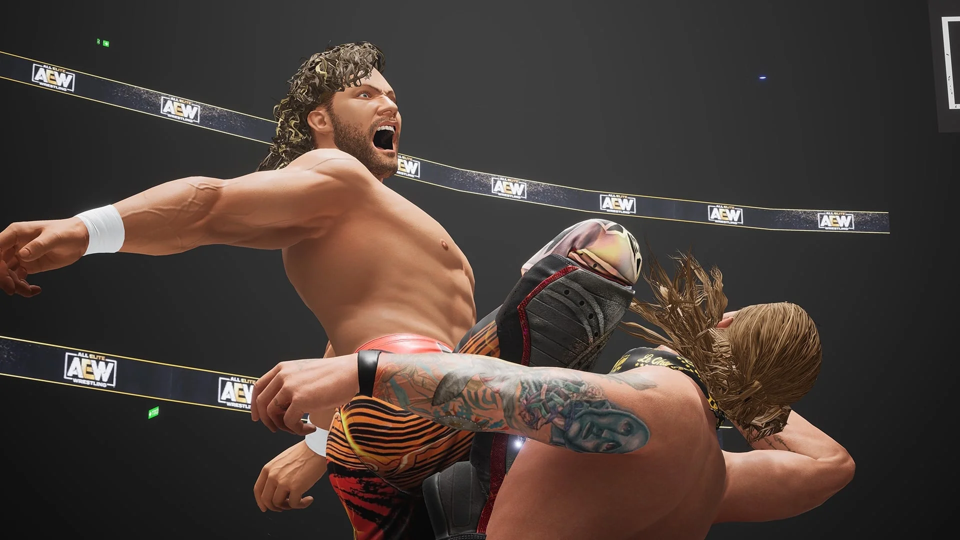 AEW: Fight Forever - Image 2