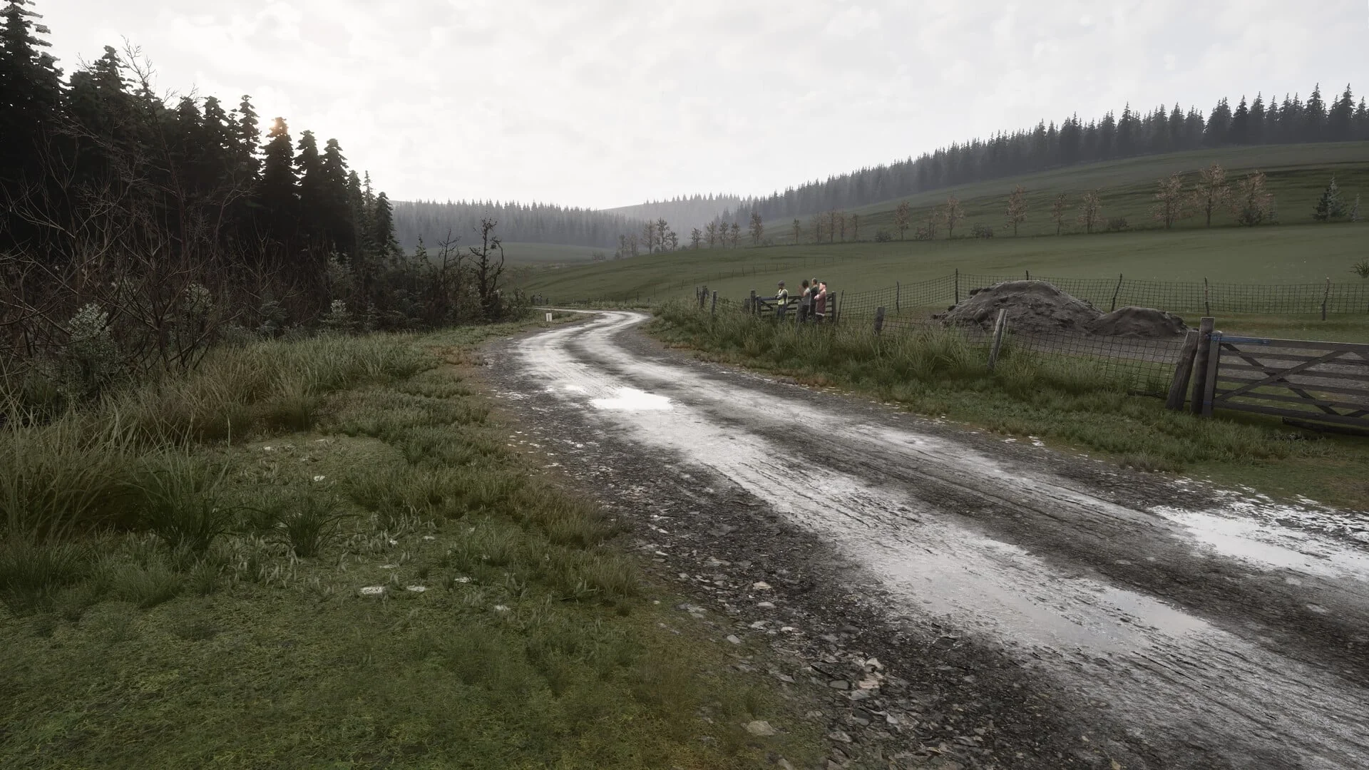 Assetto Corsa Rally - Image 5