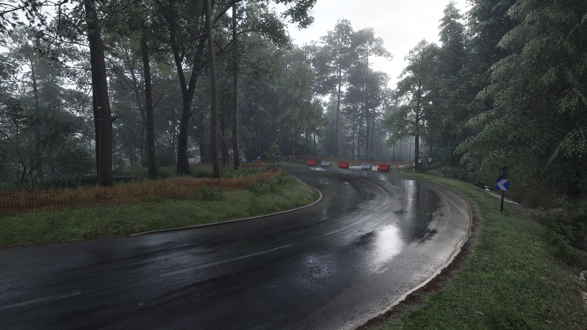 Assetto Corsa Rally - Image 7
