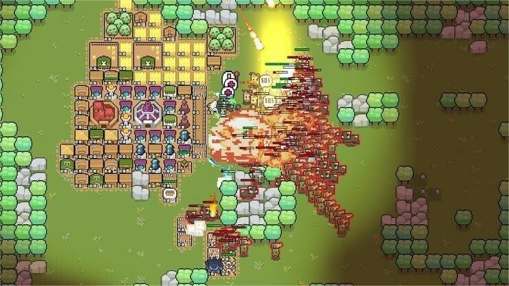 Border Pioneer - Image 2
