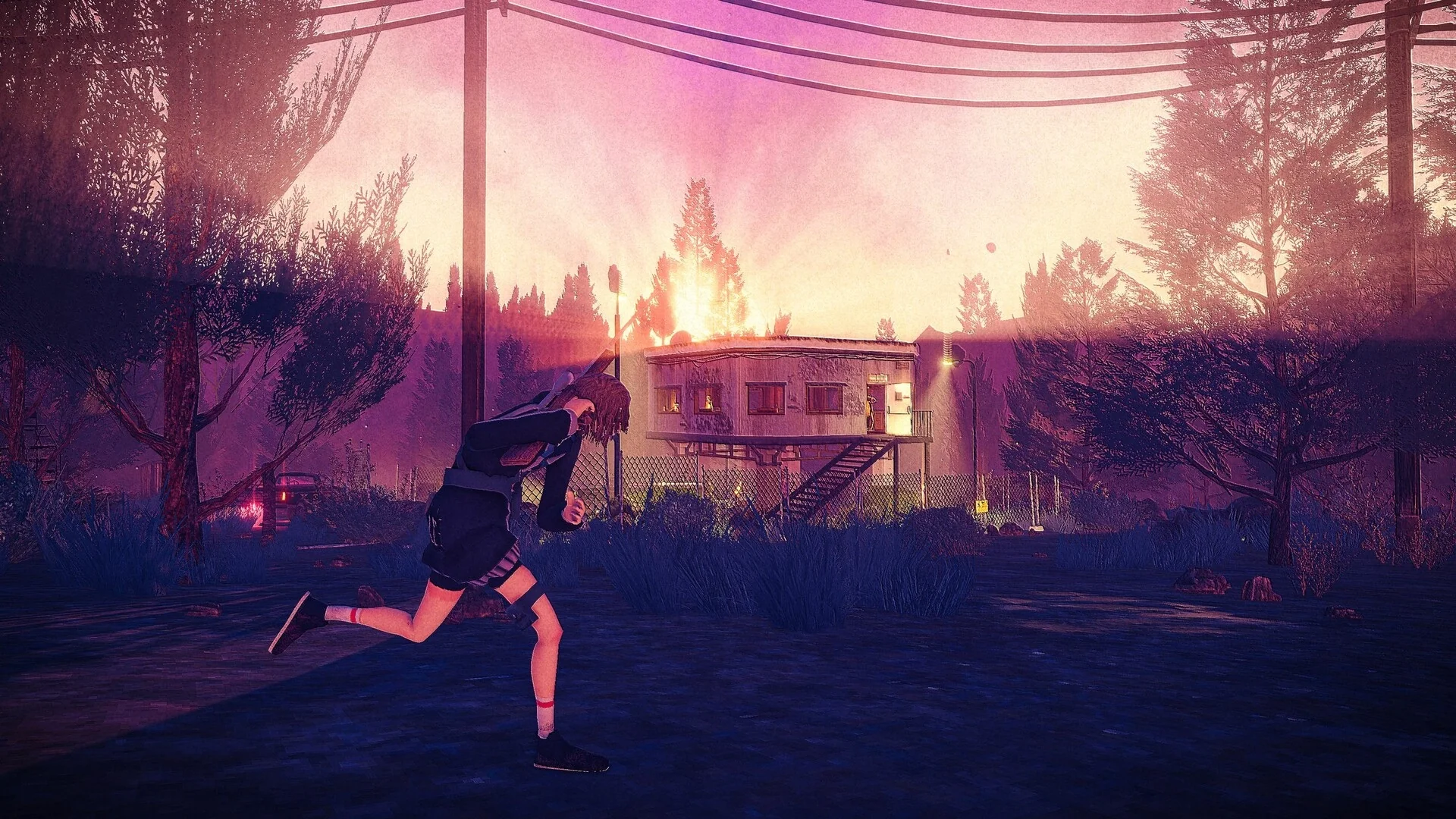 Children of the Sun - Image 6