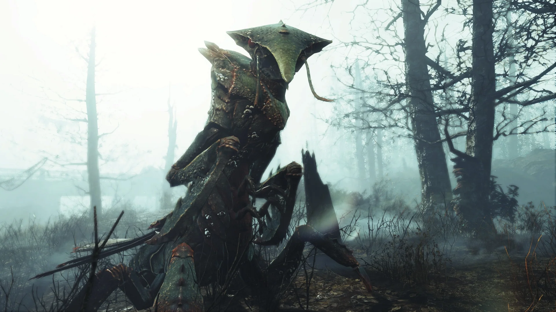 Fallout 4: Far Harbor - Image 3