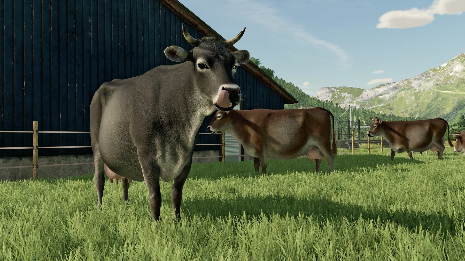 Farming Simulator 22 - Premium Edition - Image 13