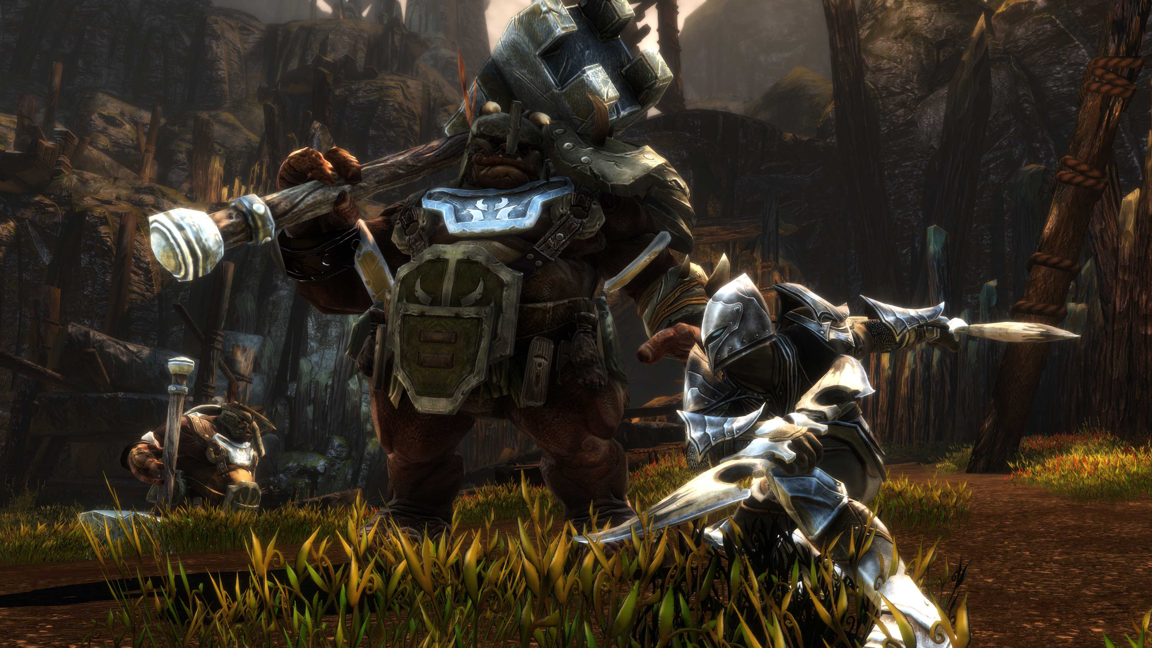 Kingdoms of Amalur: Re-Reckoning - Image 6