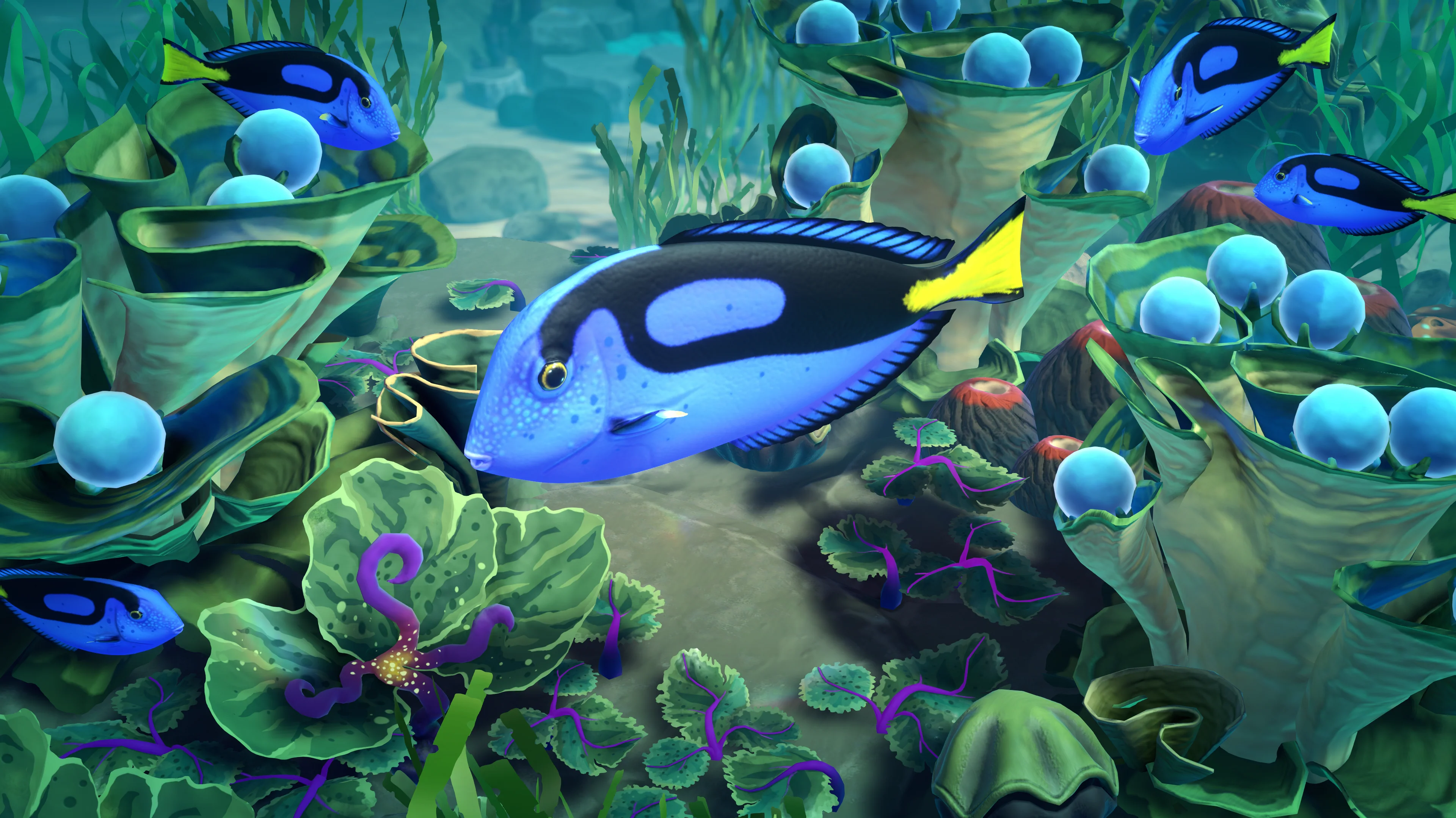 Life Below - Image 12