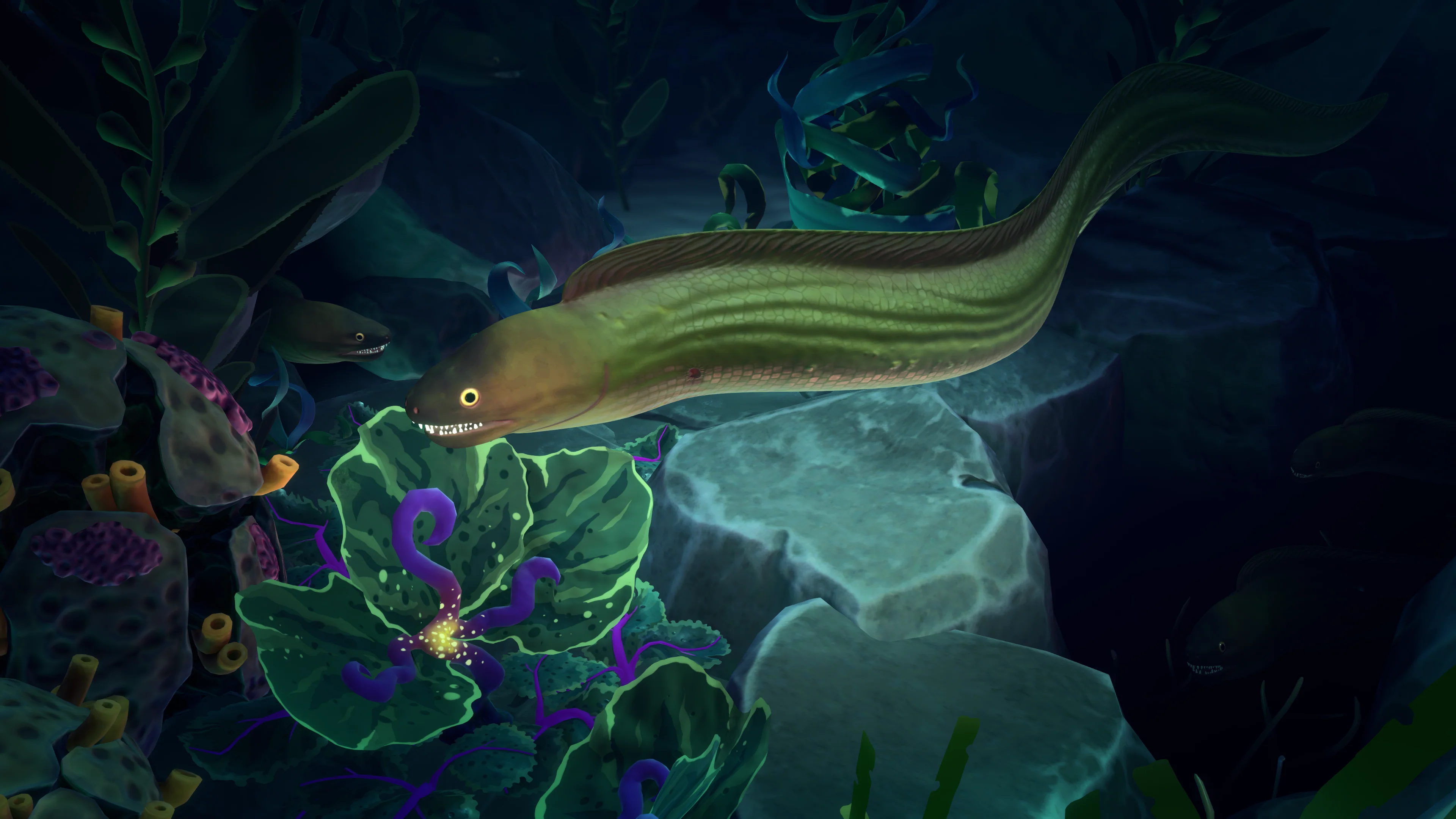 Life Below - Image 15
