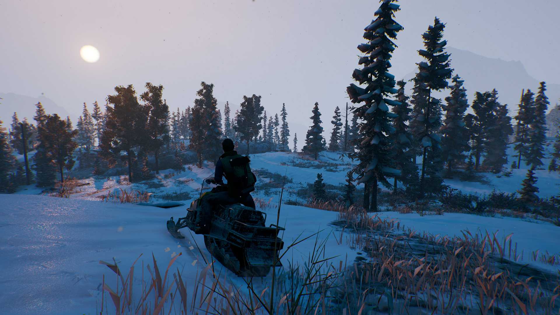 Open Country - Image 10