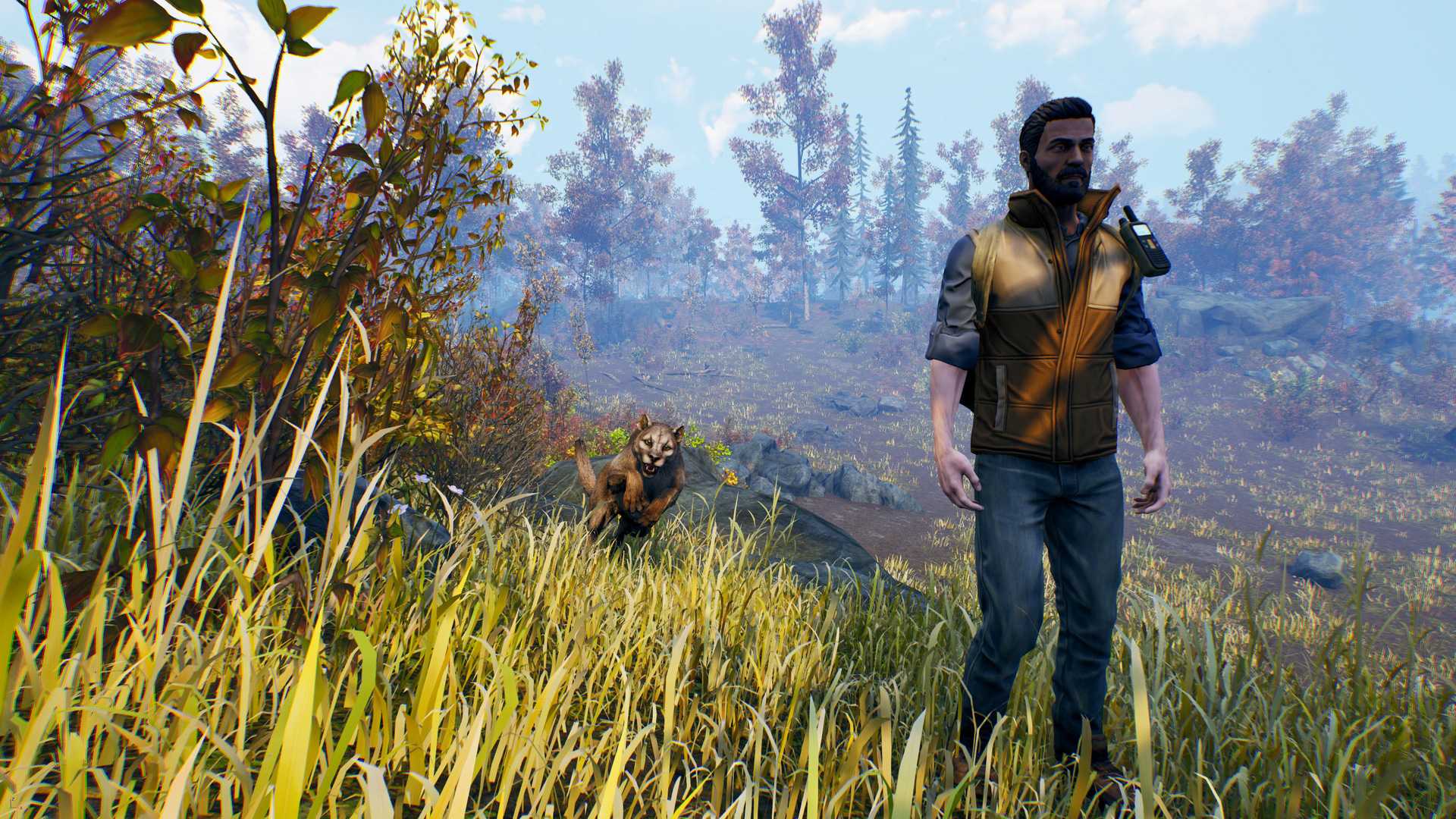 Open Country - Image 14