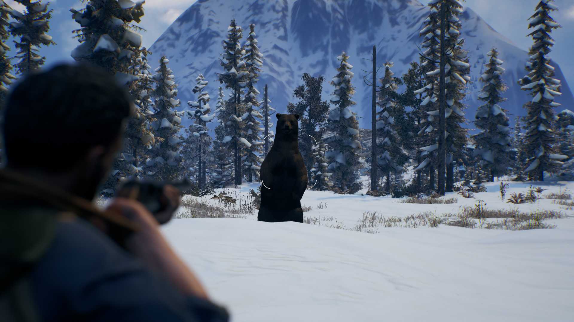 Open Country - Image 6