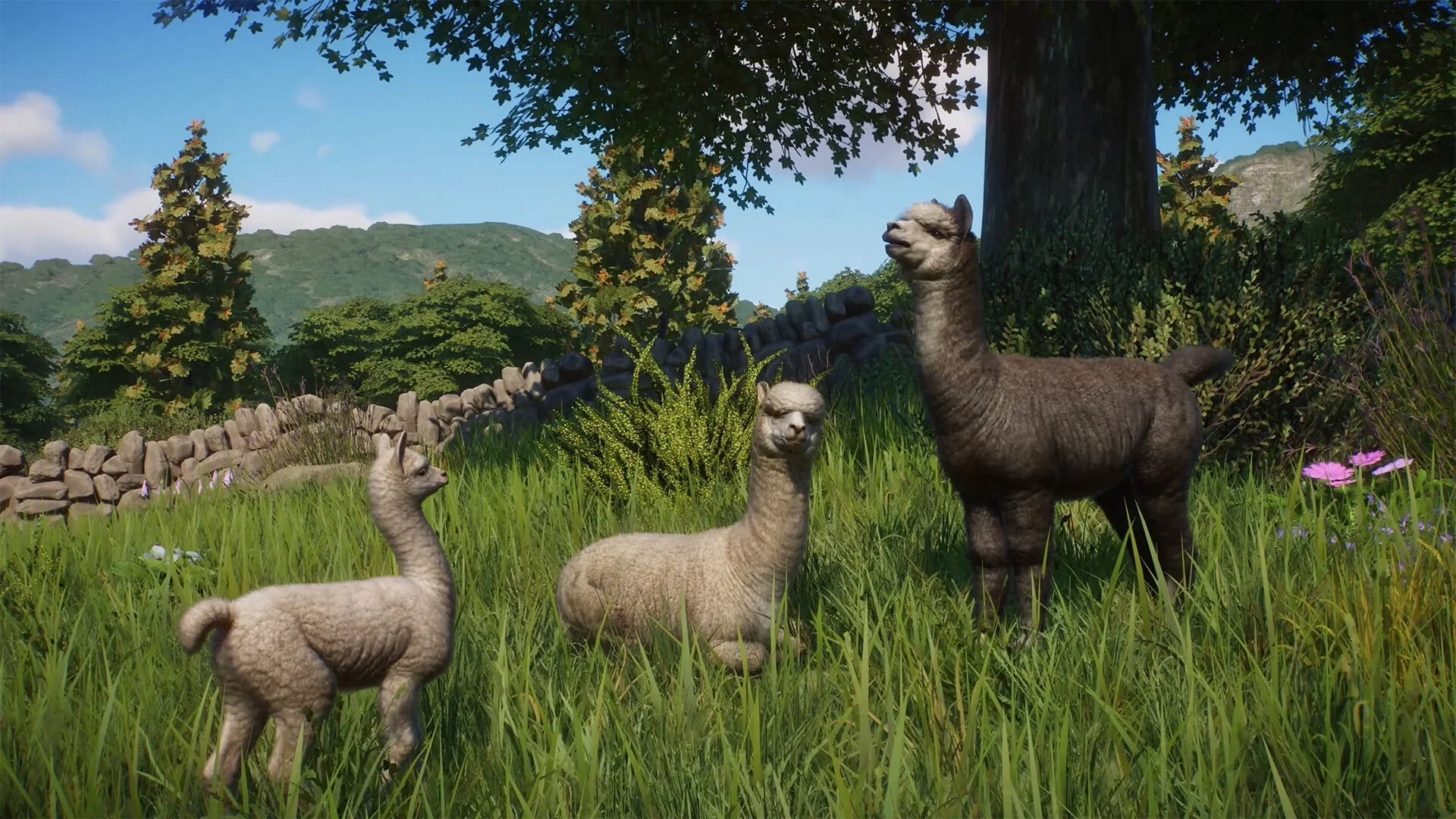 Planet Zoo: Barnyard Animal Pack - Image 14