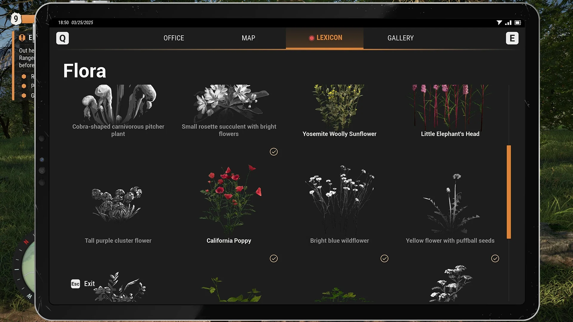 Ranger’s Path: National Park Simulator - Image 11