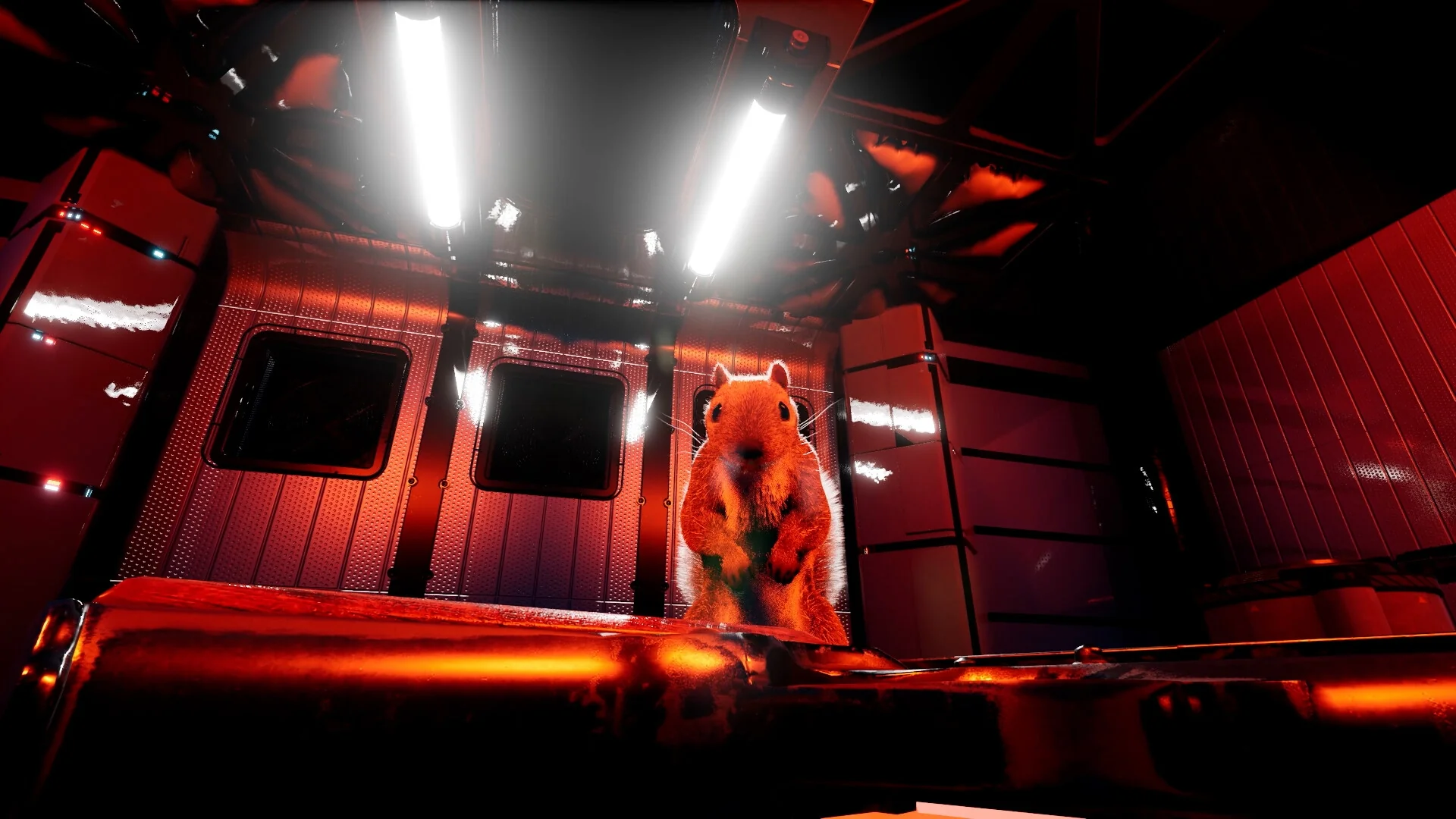 Squirrel with a Gun - Image 10