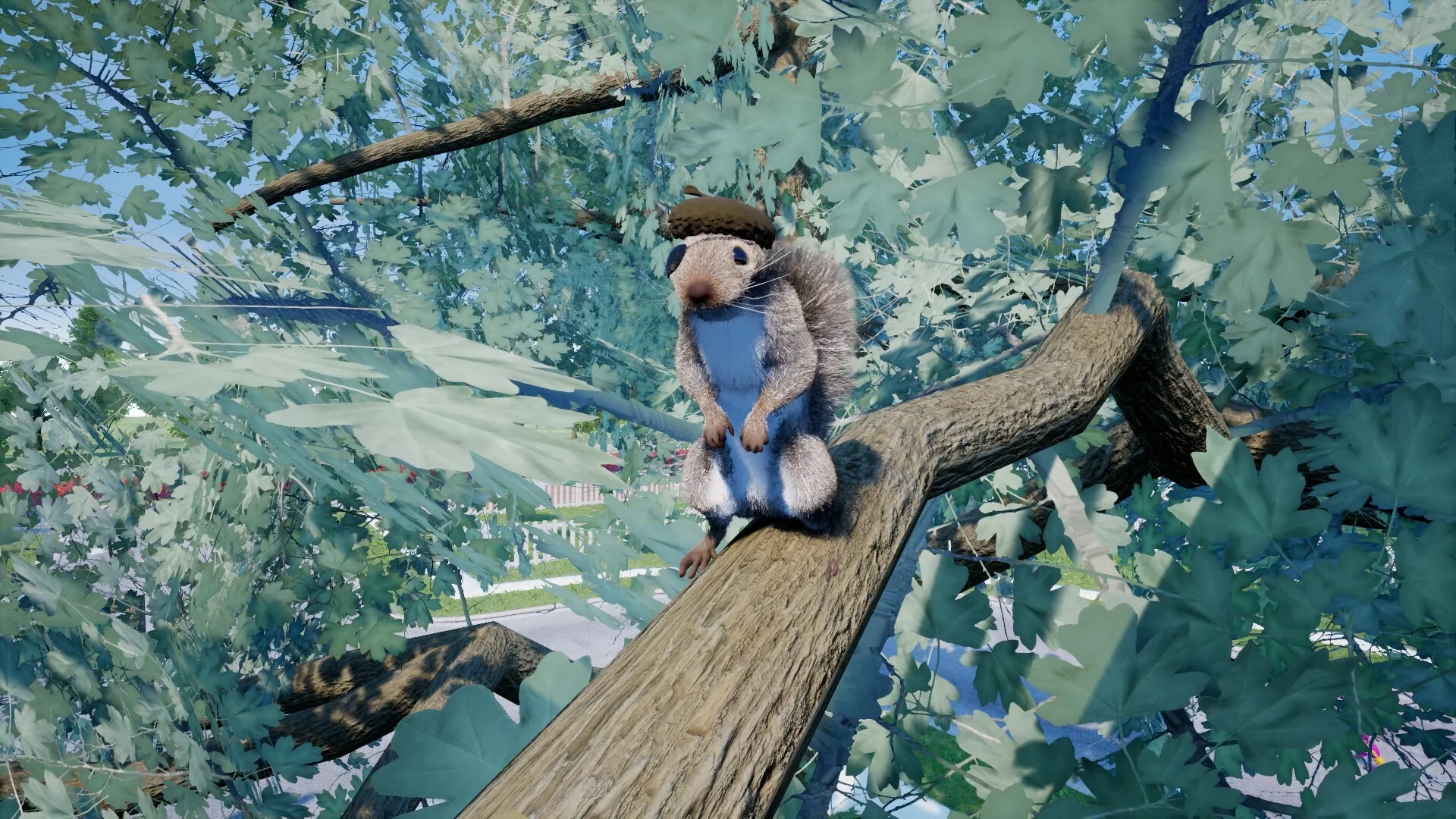 Squirrel with a Gun - Image 19