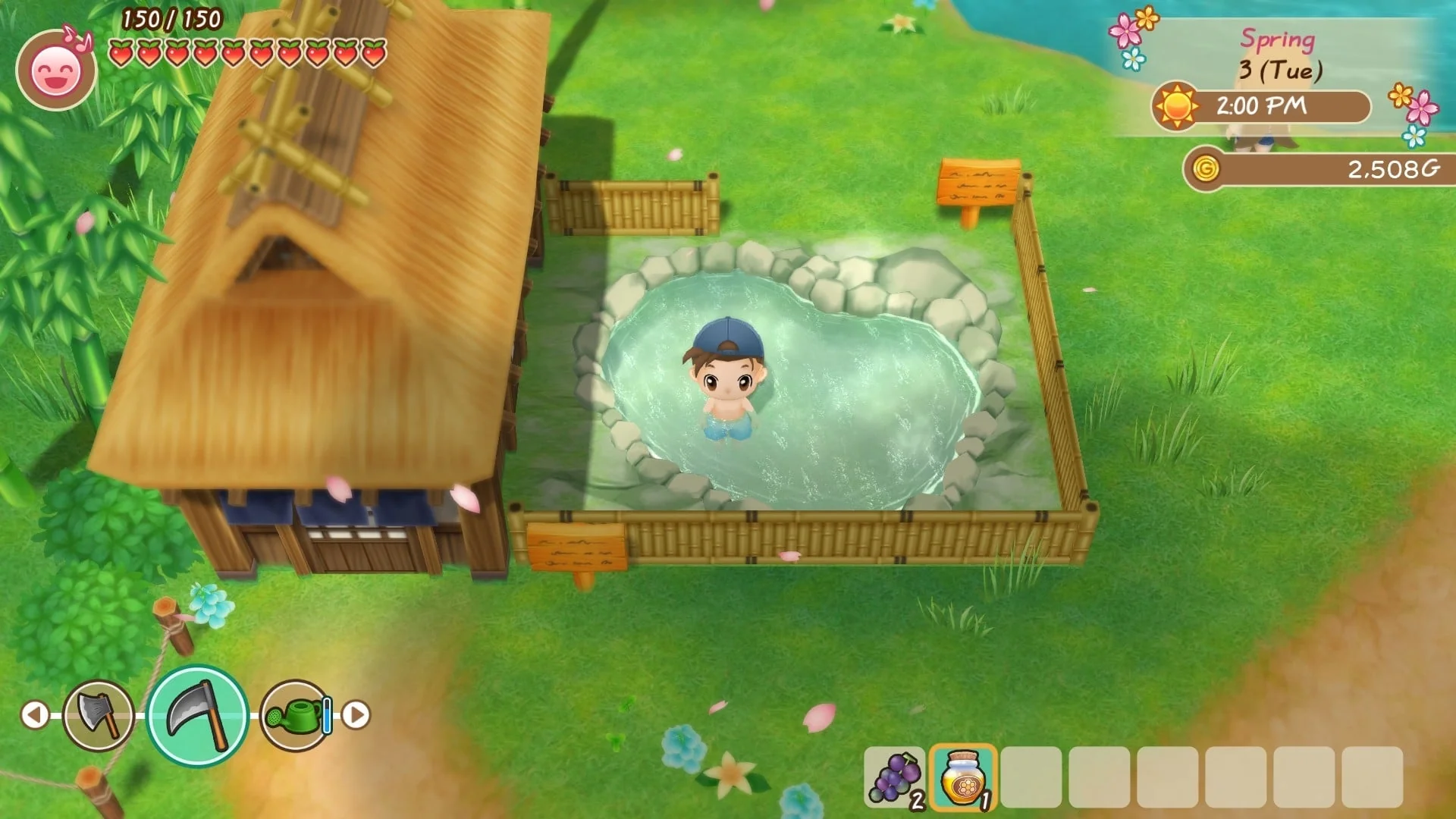 STORY OF SEASONS: Friends of Mineral Town - Image 12