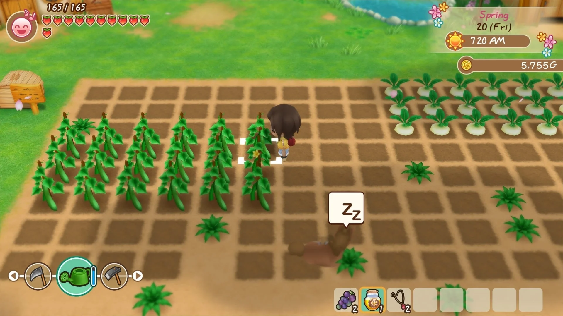 STORY OF SEASONS: Friends of Mineral Town - Image 5