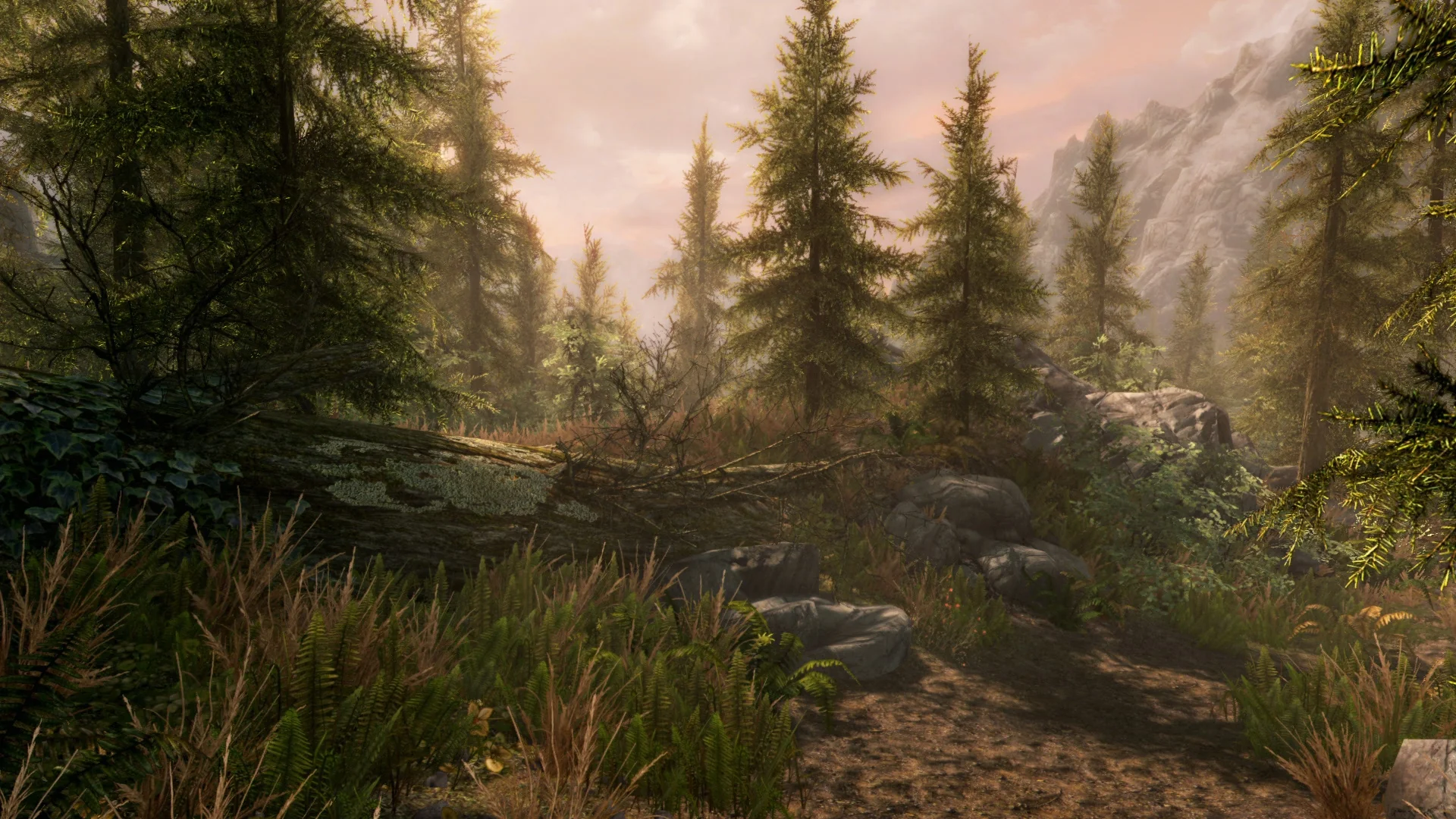 The Elder Scrolls V: Skyrim Anniversary Upgrade - Image 2