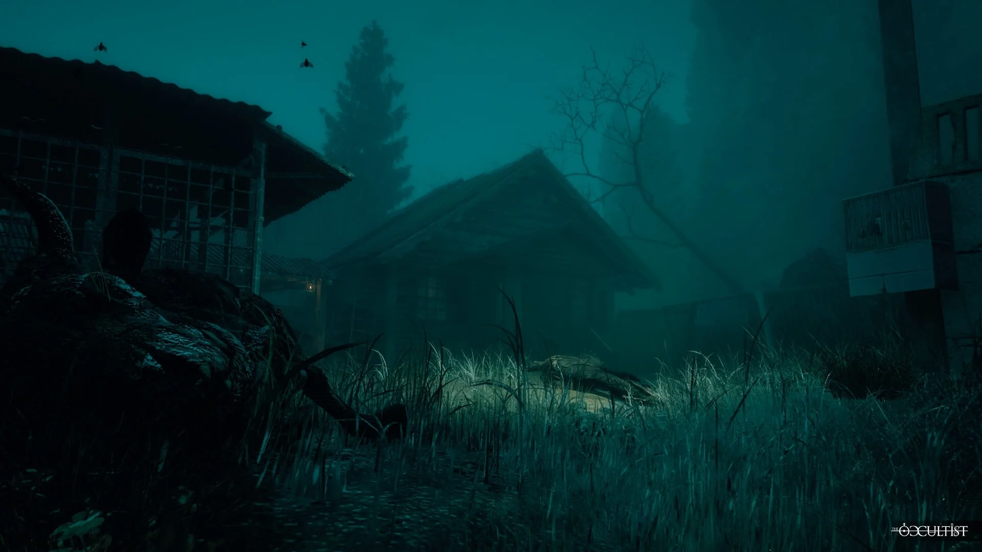 The Occultist - Image 2