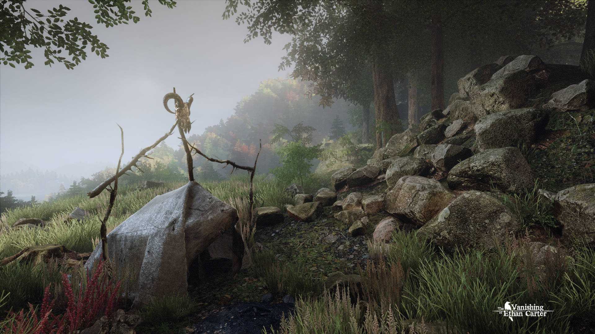 The Vanishing of Ethan Carter - Image 2