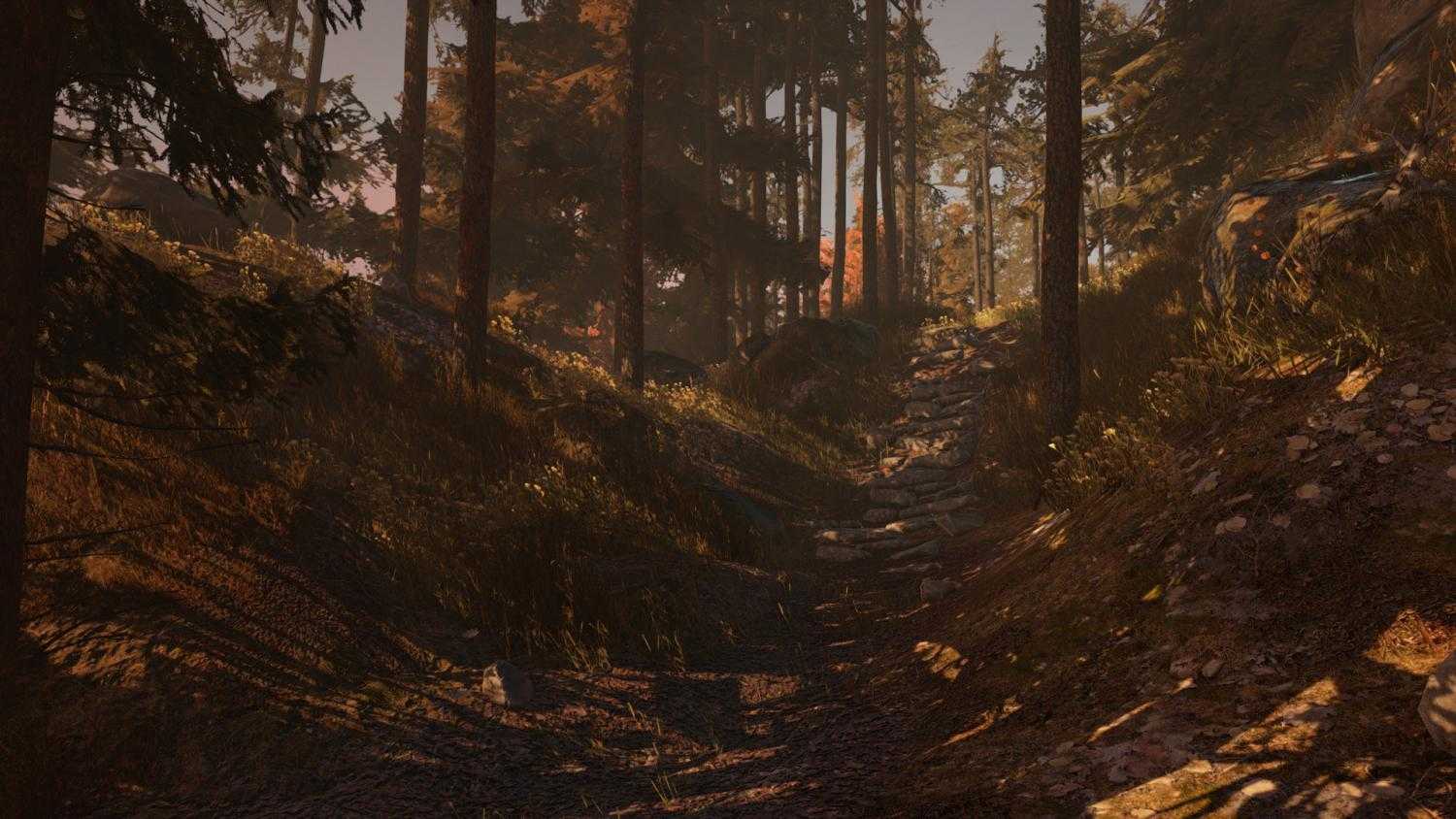 Through the Woods - Image 11
