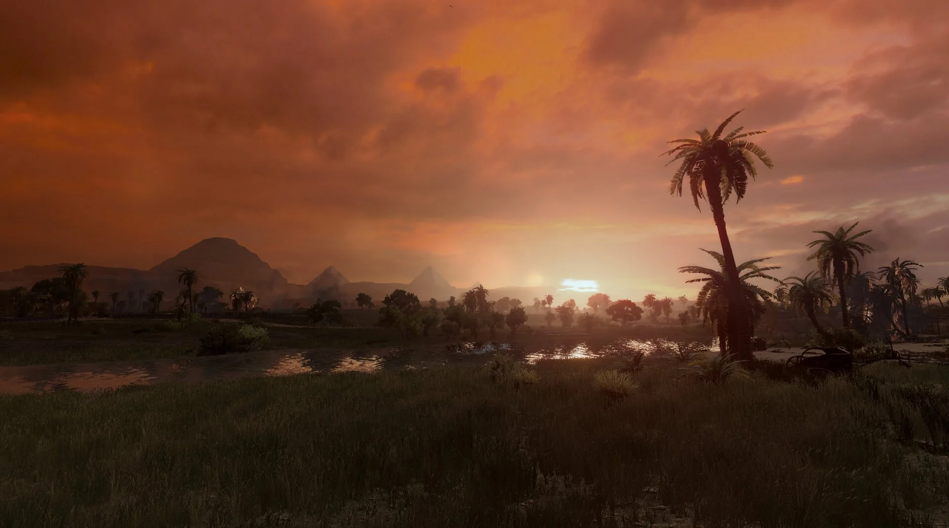 Total War: PHARAOH - Dynasty Edition - Image 5