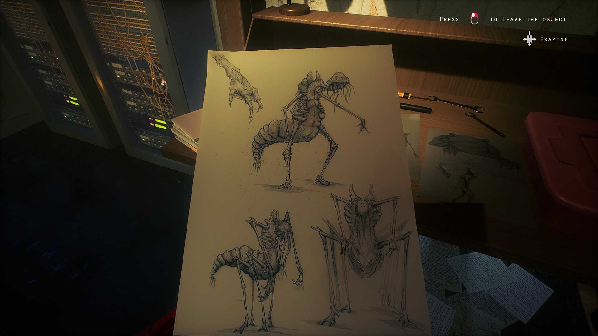 Transient - Image 2