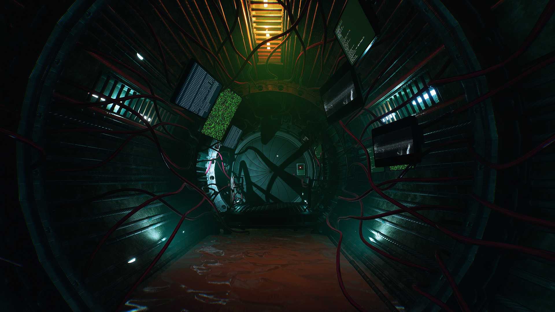 Transient - Image 6