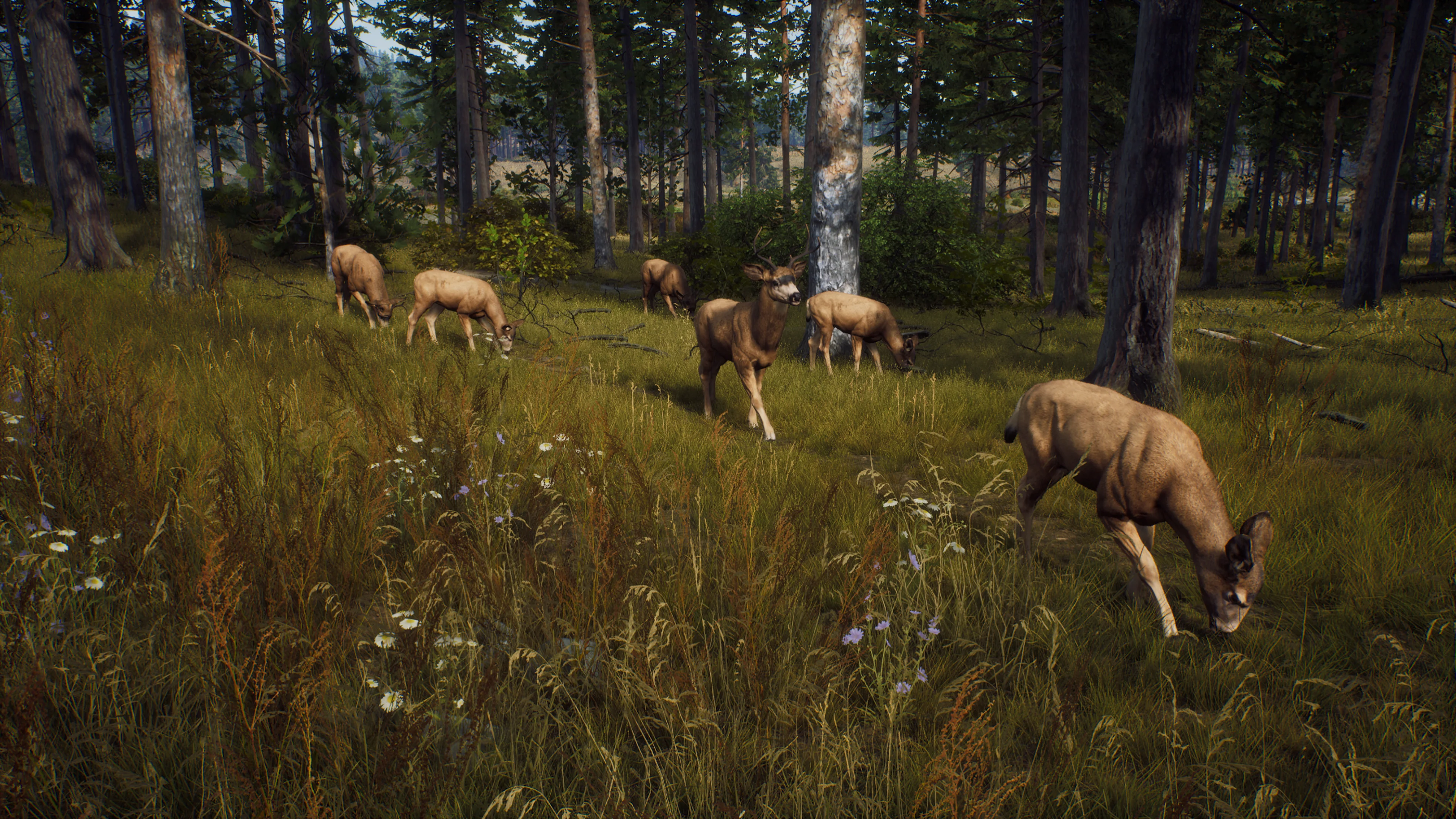 Way of the Hunter: Elite Edition - Image 7