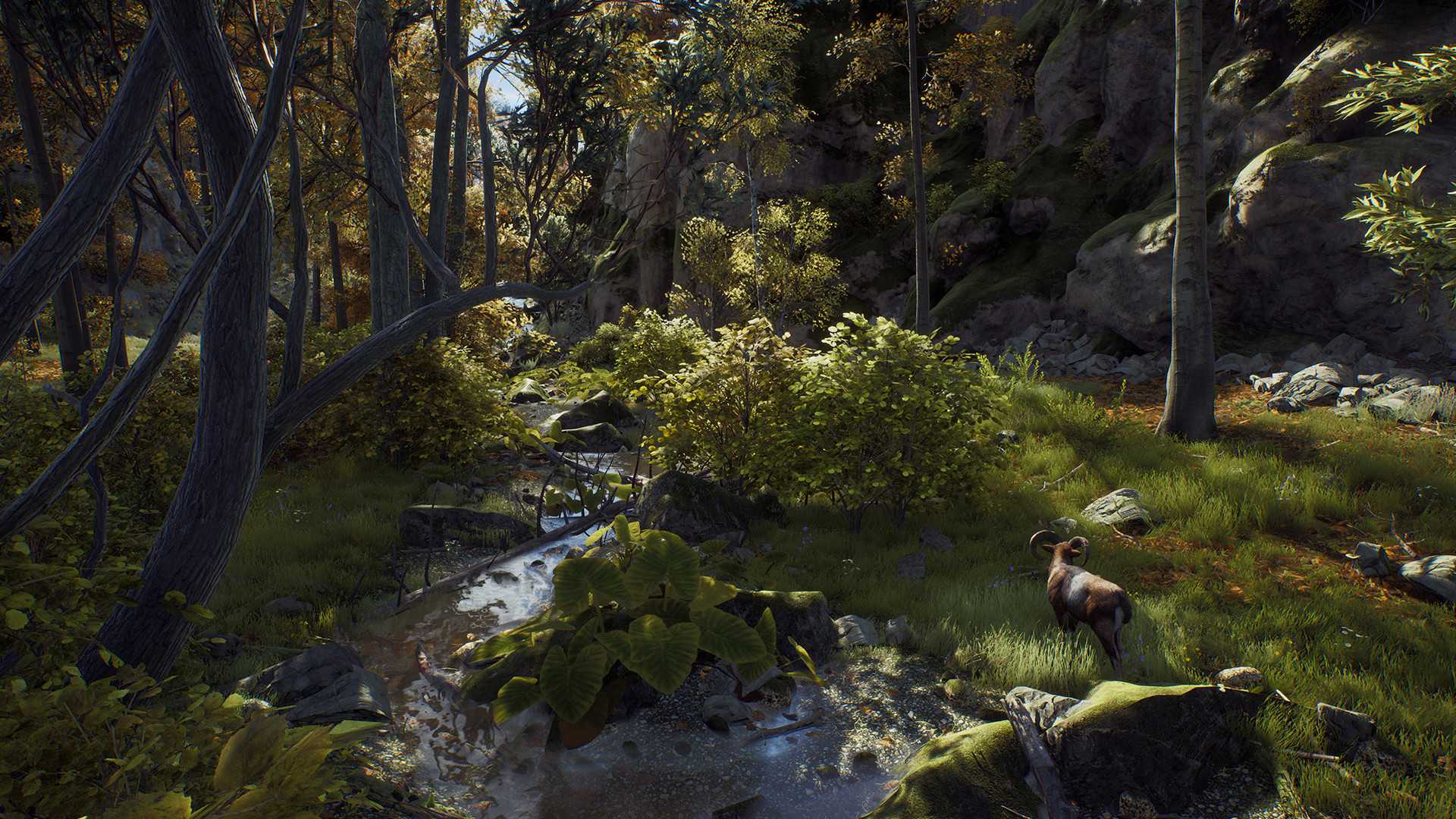 Way of the Hunter - Image 13