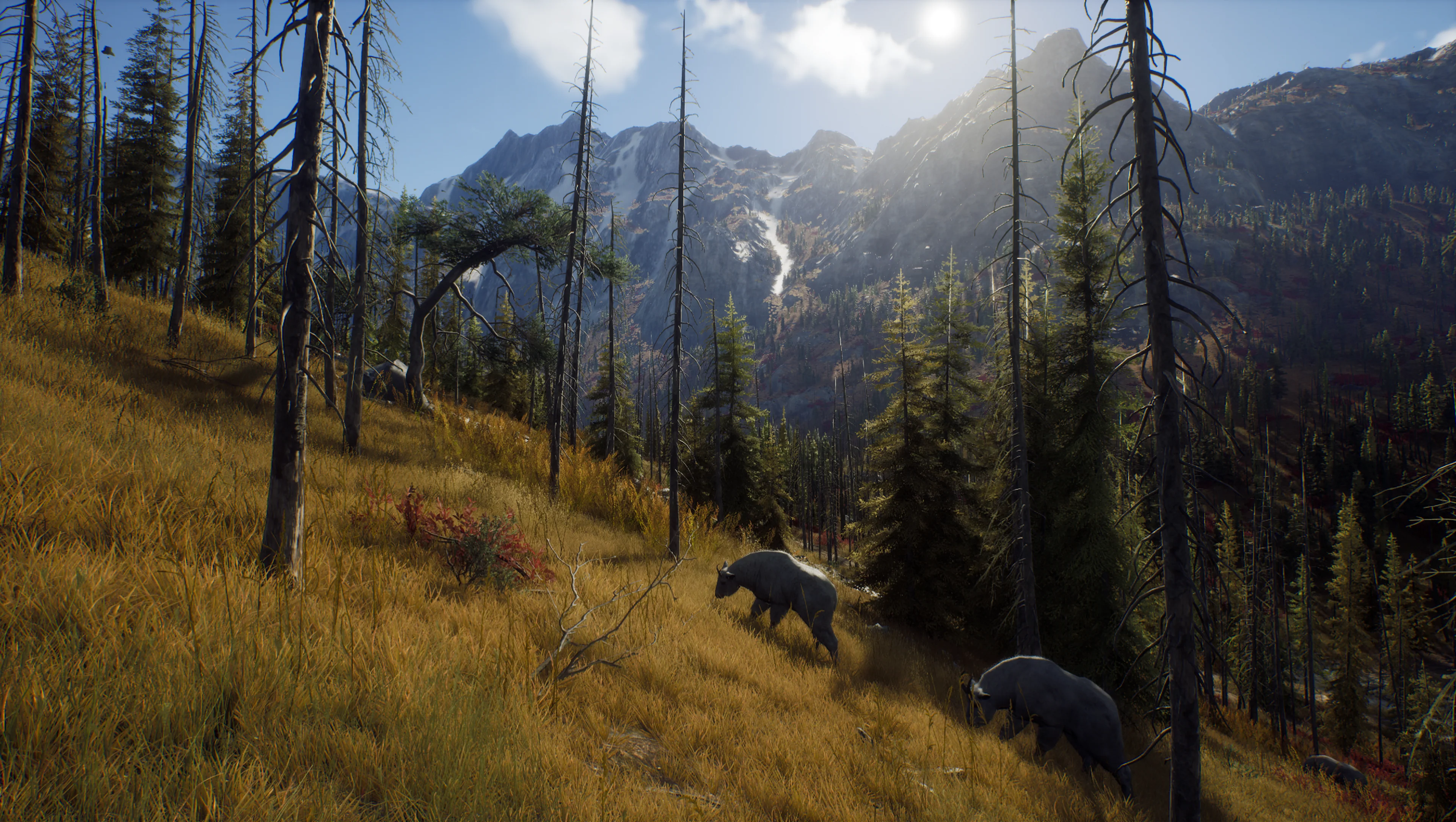 Way of the Hunter - Image 6