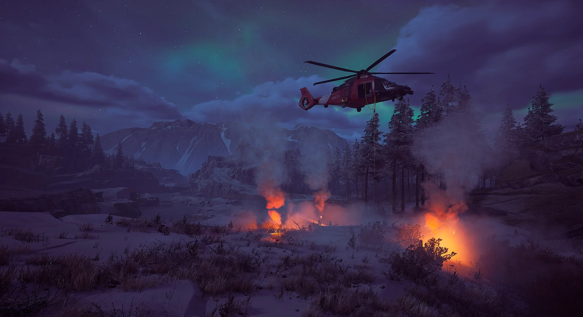 Winter Survival - Image 10