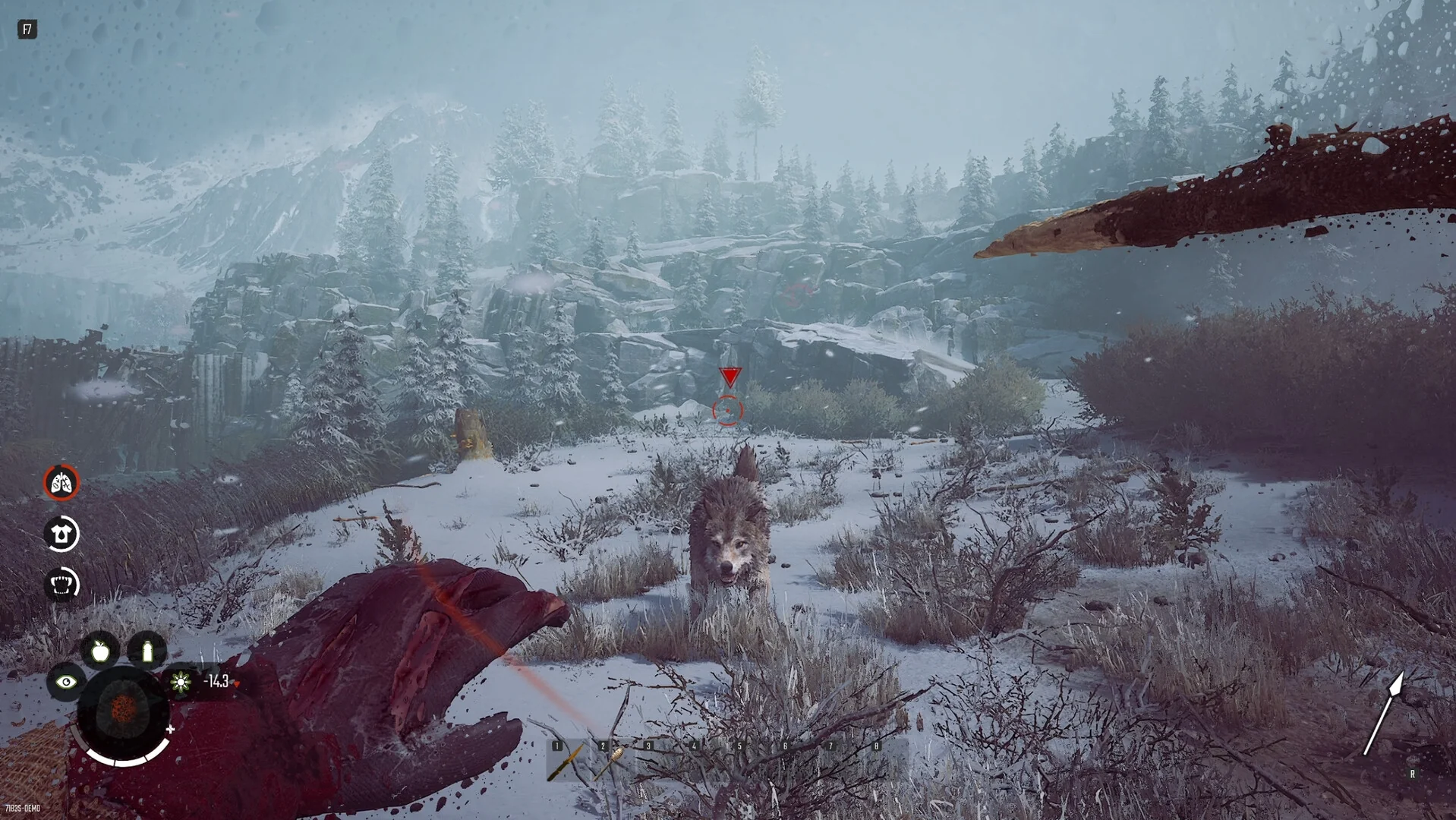 Winter Survival - Image 3